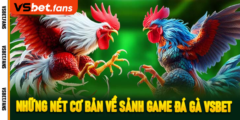 Những nét cơ bản về sảnh game đá gà VSbet